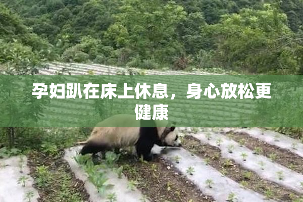 孕妇趴在床上休息，身心放松更健康