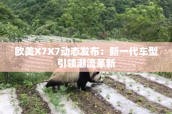 欧美X7X7动态发布：新一代车型引领潮流革新