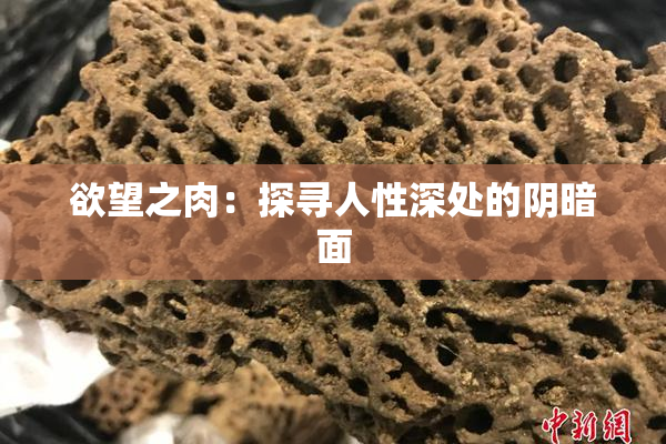 欲望之肉：探寻人性深处的阴暗面