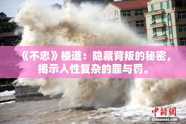 《不忠》楼道：隐藏背叛的秘密，揭示人性复杂的罪与罚。