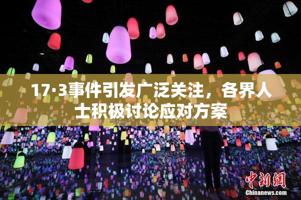 17·3事件引发广泛关注，各界人士积极讨论应对方案