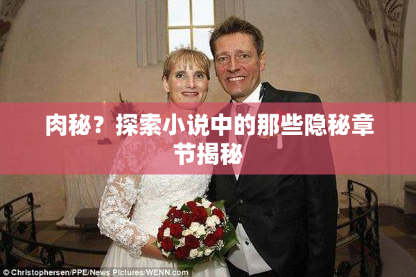 肉秘？探索小说中的那些隐秘章节揭秘