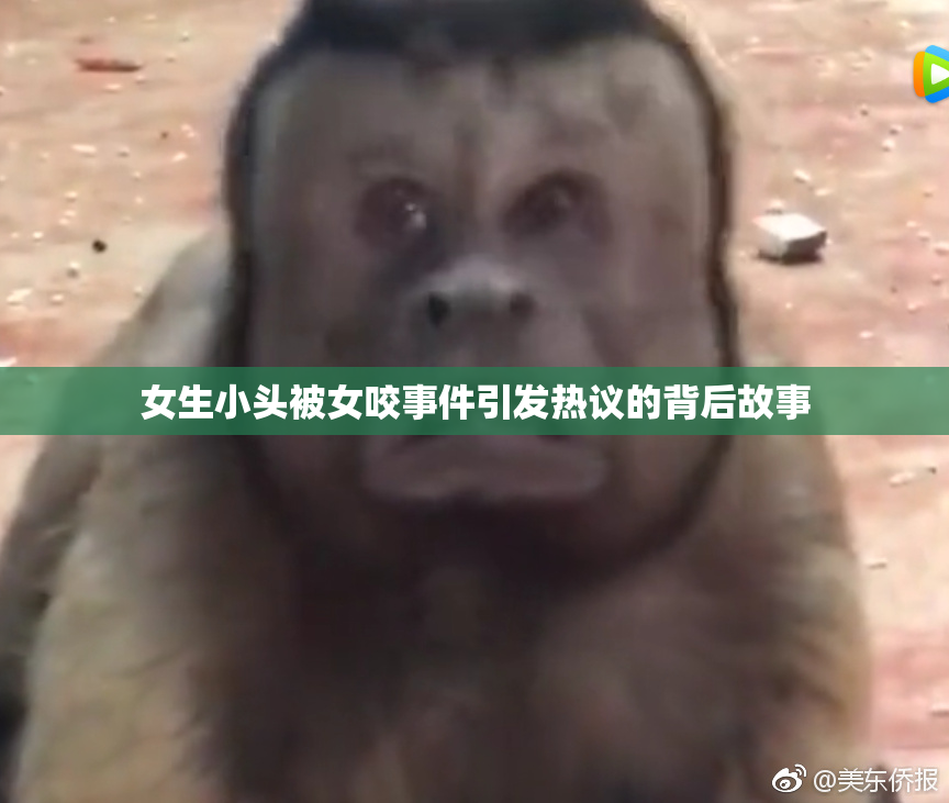 女生小头被女咬事件引发热议的背后故事
