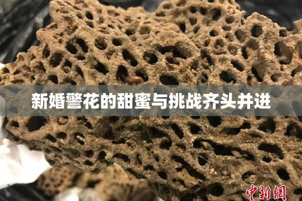 新婚警花的甜蜜与挑战齐头并进