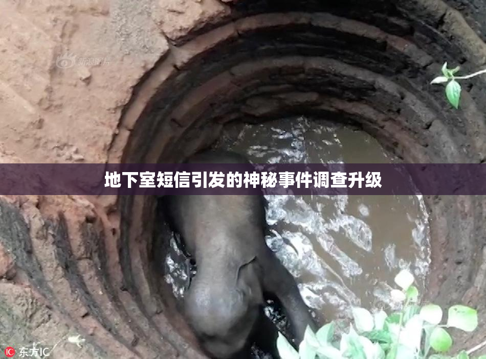 地下室短信引发的神秘事件调查升级