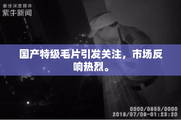 国产特级毛片引发关注，市场反响热烈。