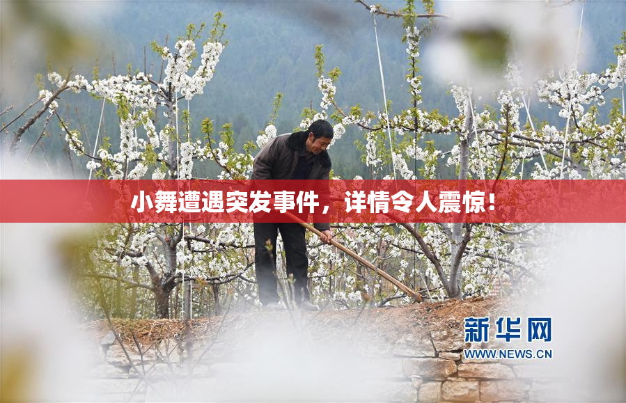 小舞遭遇突发事件，详情令人震惊！