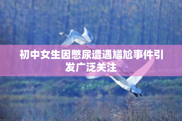初中女生因憋尿遭遇尴尬事件引发广泛关注