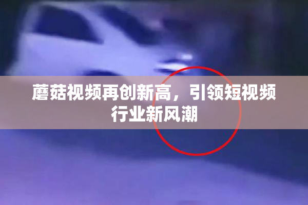 蘑菇视频再创新高，引领短视频行业新风潮