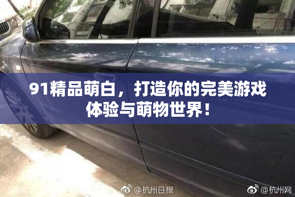 91精品萌白，打造你的完美游戏体验与萌物世界！