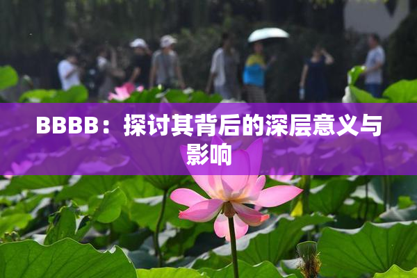 BBBB：探讨其背后的深层意义与影响
