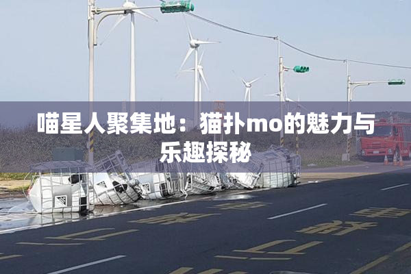喵星人聚集地：猫扑mo的魅力与乐趣探秘