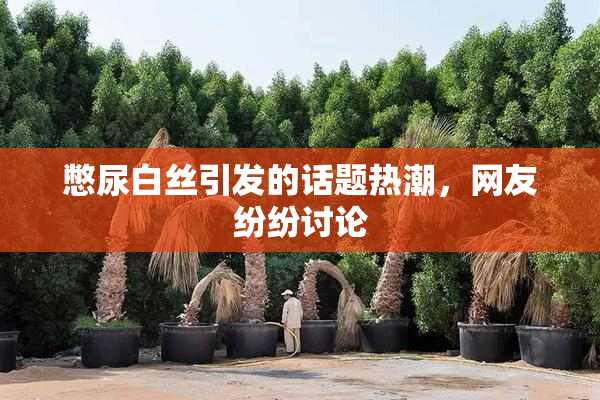憋尿白丝引发的话题热潮，网友纷纷讨论