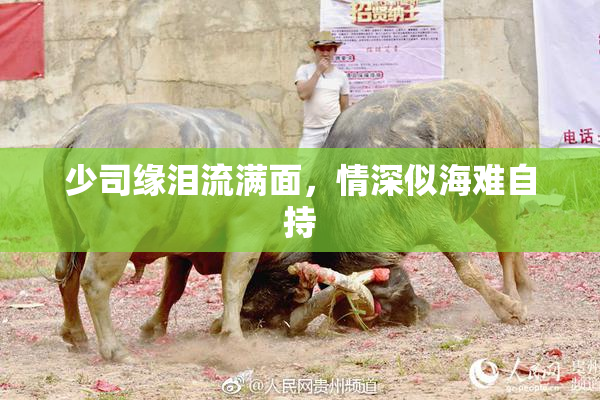少司缘泪流满面，情深似海难自持