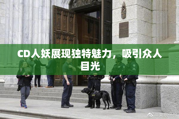 CD人妖展现独特魅力，吸引众人目光