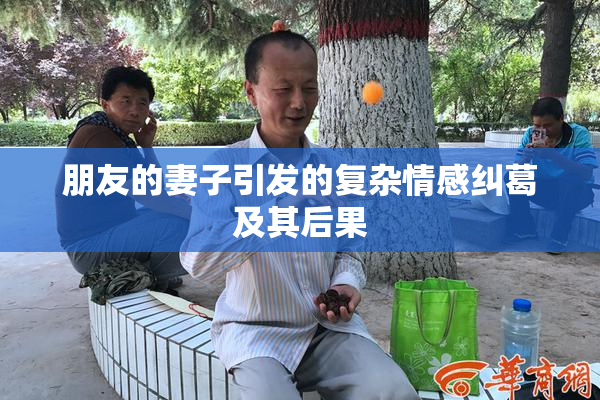 朋友的妻子引发的复杂情感纠葛及其后果