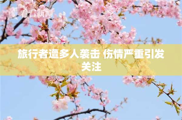 旅行者遭多人袭击 伤情严重引发关注