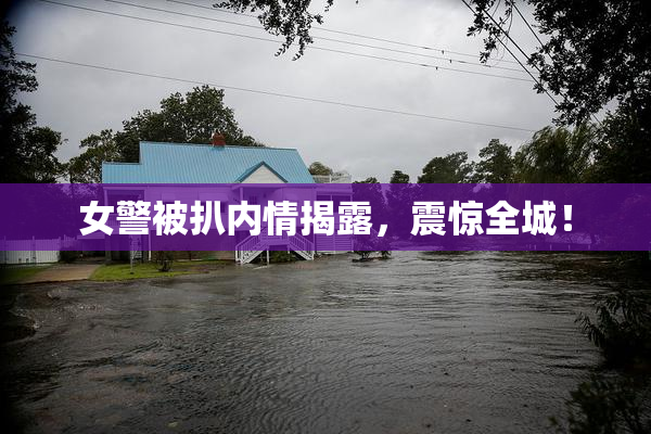 女警被扒内情揭露，震惊全城！