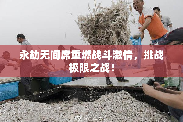 永劫无间席重燃战斗激情，挑战极限之战！