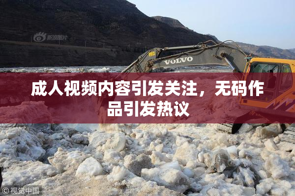 成人视频内容引发关注，无码作品引发热议