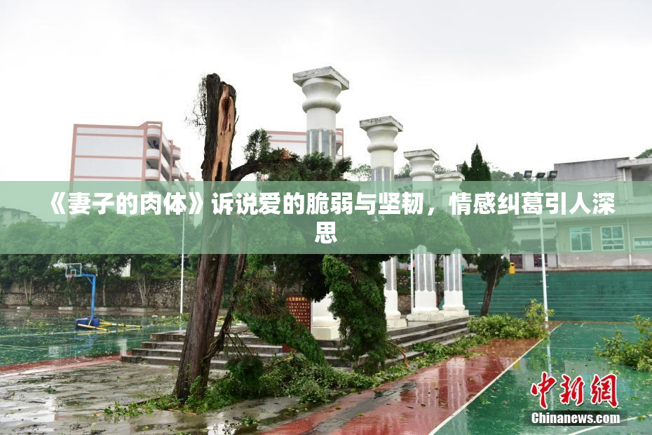 《妻子的肉体》诉说爱的脆弱与坚韧，情感纠葛引人深思