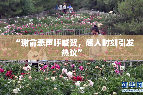 “谢俞悲声呼喊贺，感人时刻引发热议”