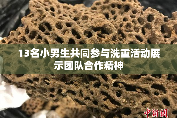 13名小男生共同参与洗重活动展示团队合作精神