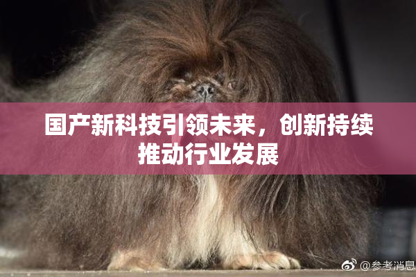 国产新科技引领未来，创新持续推动行业发展