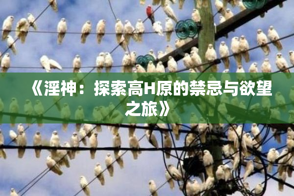 《淫神：探索高H原的禁忌与欲望之旅》
