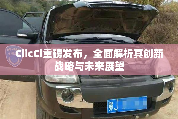 CiicCi重磅发布，全面解析其创新战略与未来展望