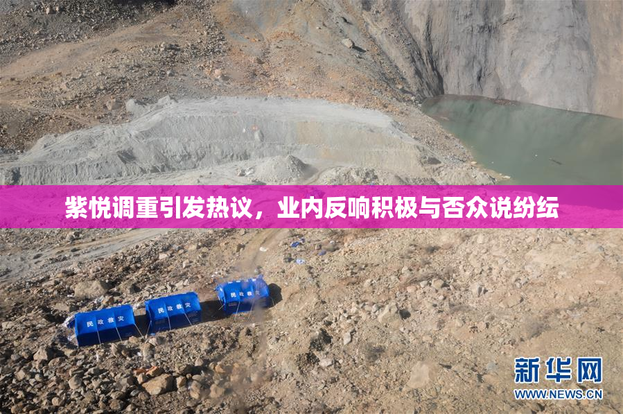 紫悦调重引发热议，业内反响积极与否众说纷纭