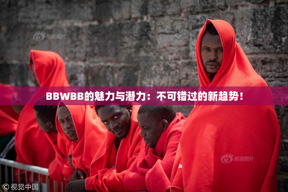 BBWBB的魅力与潜力：不可错过的新趋势！