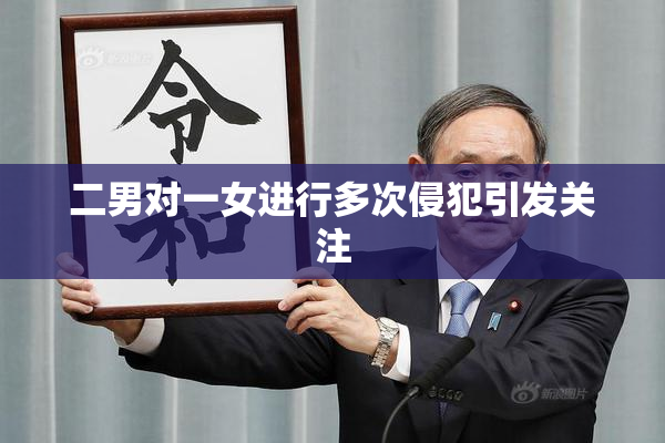 二男对一女进行多次侵犯引发关注