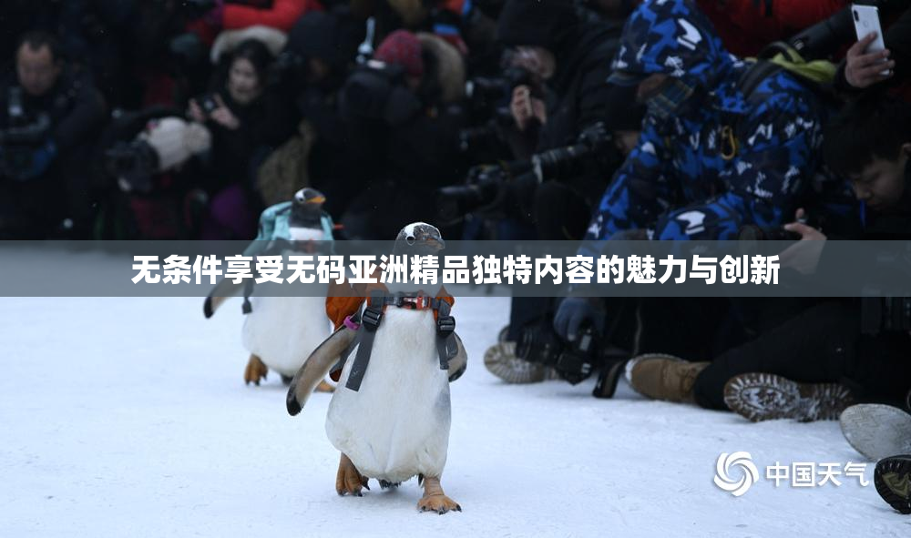 无条件享受无码亚洲精品独特内容的魅力与创新