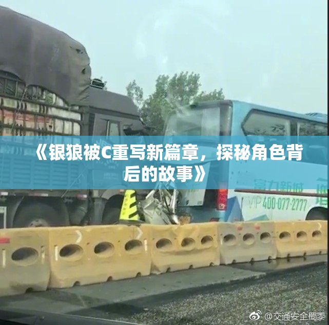 《银狼被C重写新篇章，探秘角色背后的故事》
