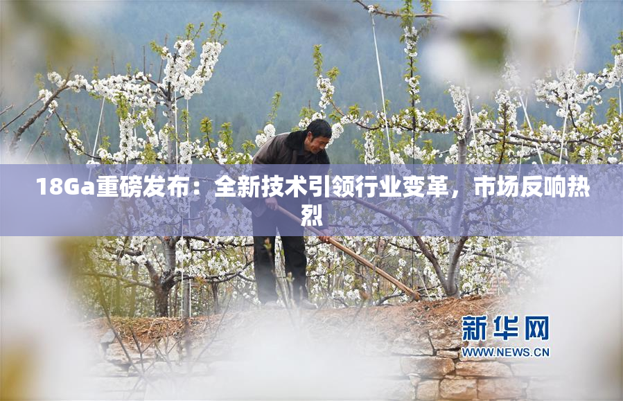 18Ga重磅发布：全新技术引领行业变革，市场反响热烈