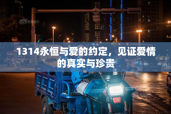 1314永恒与爱的约定，见证爱情的真实与珍贵