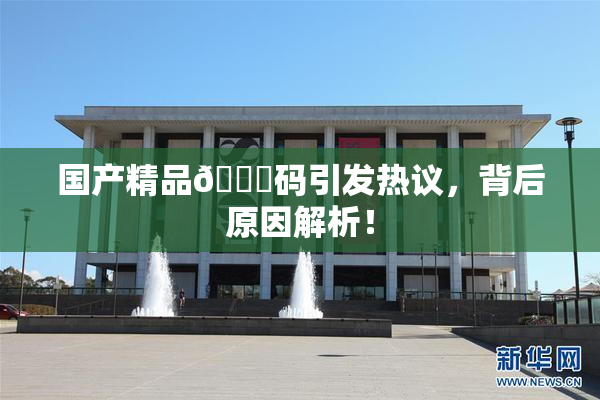 国产精品🈚码引发热议，背后原因解析！