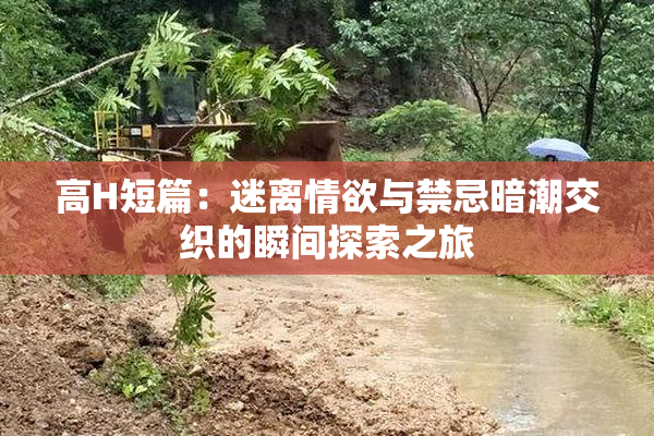 高H短篇：迷离情欲与禁忌暗潮交织的瞬间探索之旅