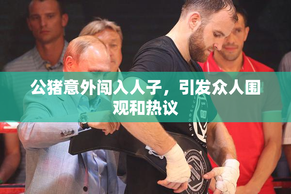 公猪意外闯入人子，引发众人围观和热议
