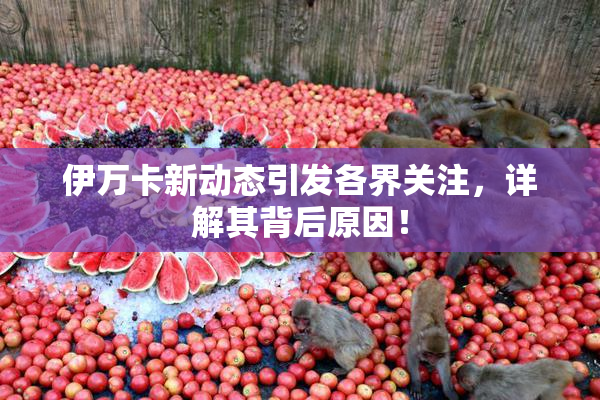 伊万卡新动态引发各界关注，详解其背后原因！
