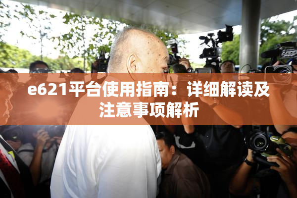 e621平台使用指南：详细解读及注意事项解析