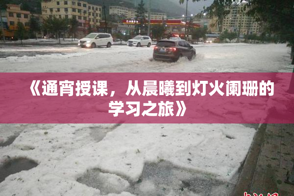 《通宵授课，从晨曦到灯火阑珊的学习之旅》