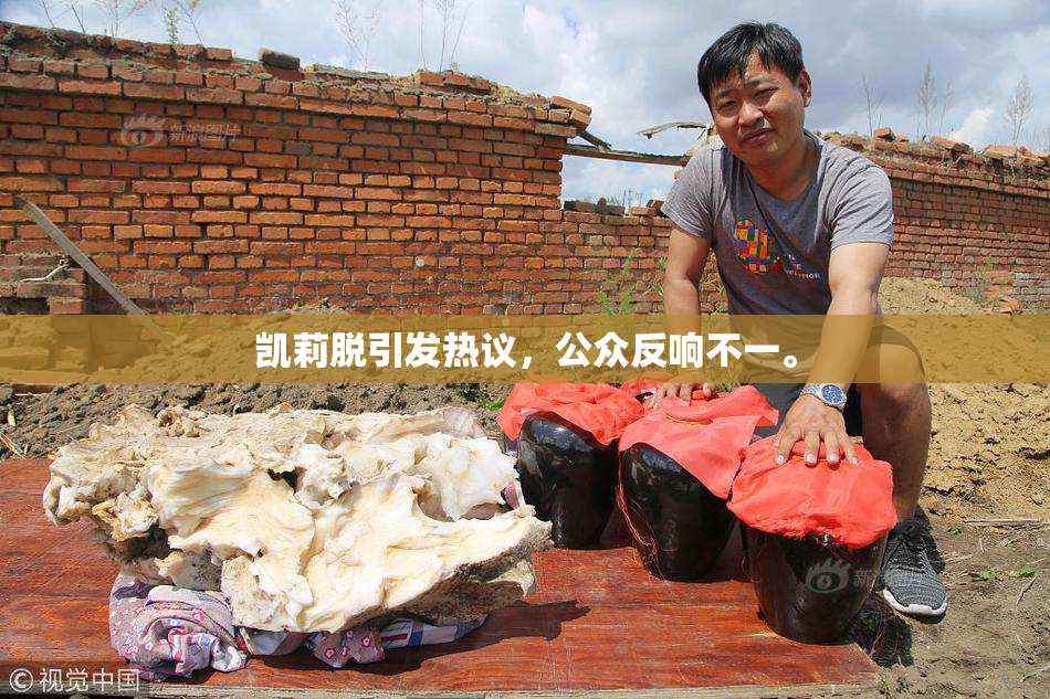 凯莉脱引发热议，公众反响不一。