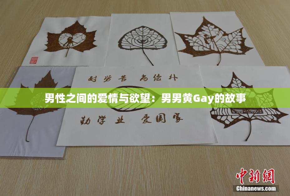 男性之间的爱情与欲望：男男黄Gay的故事