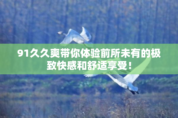 91久久爽带你体验前所未有的极致快感和舒适享受！