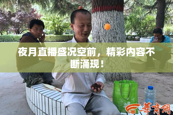 夜月直播盛况空前，精彩内容不断涌现！