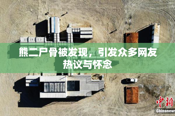 熊二尸骨被发现，引发众多网友热议与怀念