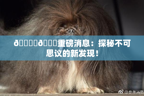 🔞‌🍌重磅消息：探秘不可思议的新发现！