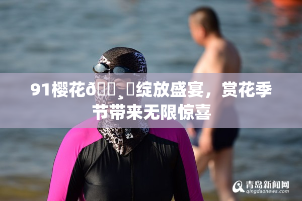 91樱花🌸‌绽放盛宴，赏花季节带来无限惊喜